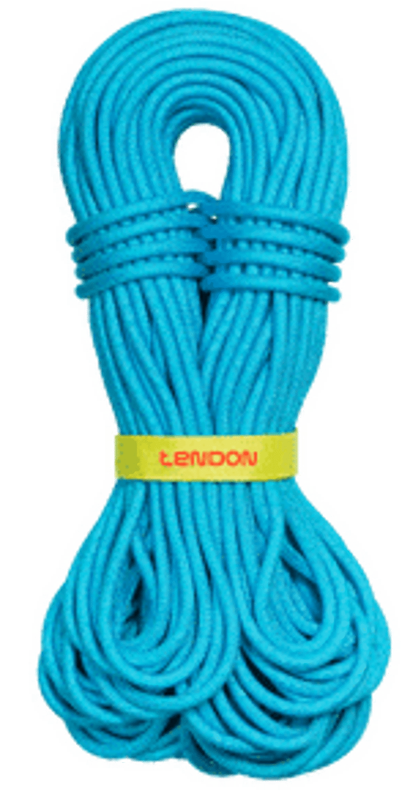 Tendon Master Pro 9.2 Single Rope (Complete Shield/Dry Treated)