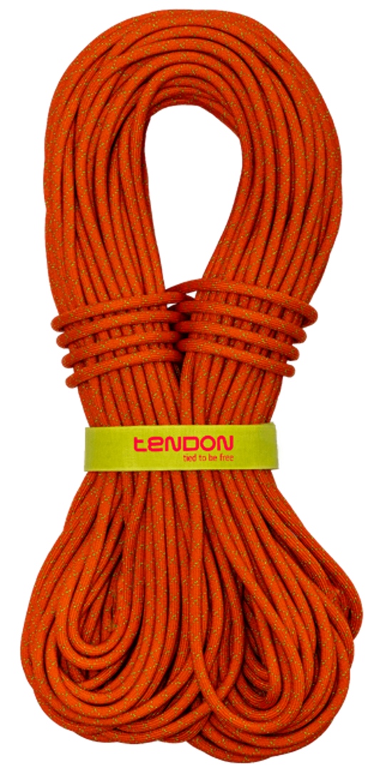 Tendon Master Pro 7.6 Half/Twin Rope (Complete Shield/Dry Treated)