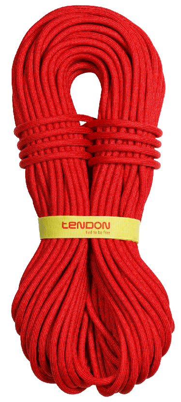 Tendon Master Pro 9.2 Single Rope (Complete Shield/Dry Treated)