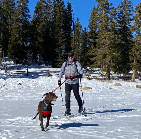 Fido Pro Remi Runner Leash - waist belt