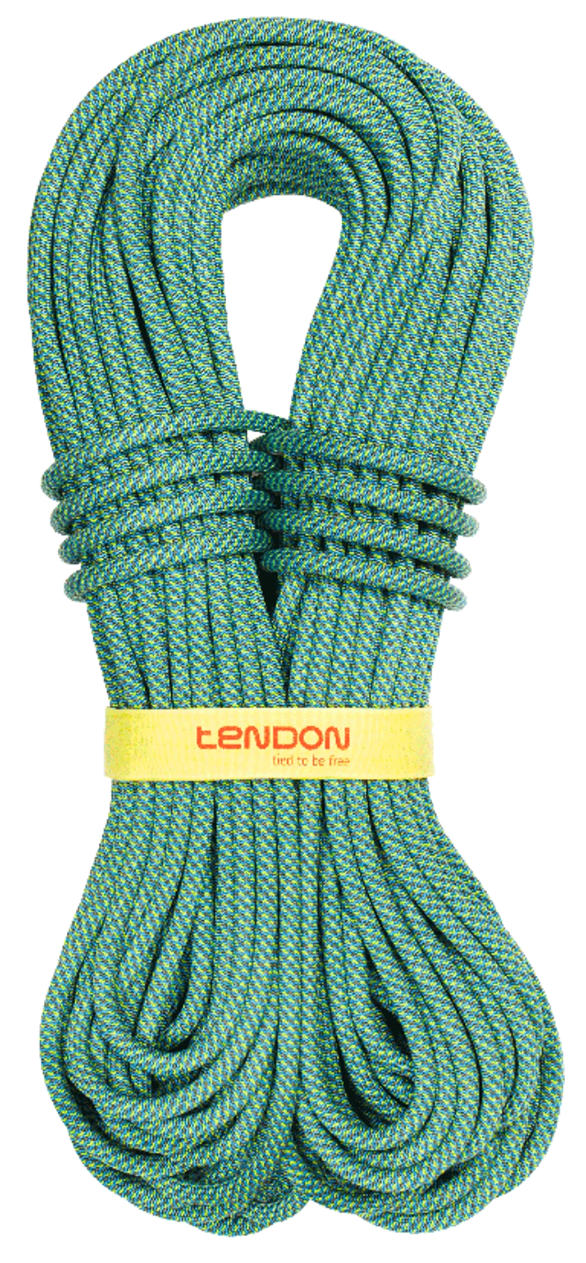 Tendon Master 9.4 Single Rope (Complete Shield/Dry Treated)
