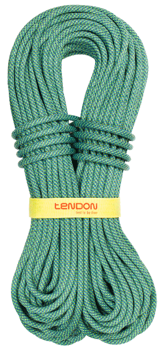 Tendon Master 9.4 Single Rope (Complete Shield/Dry Treated)