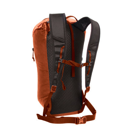 Blue Ice Dragonfly 18L - back, Red Clay