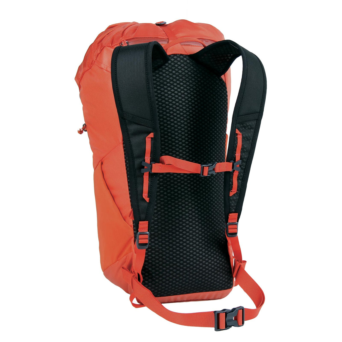 Blue Ice Dragonfly 26L - back, Red Clay