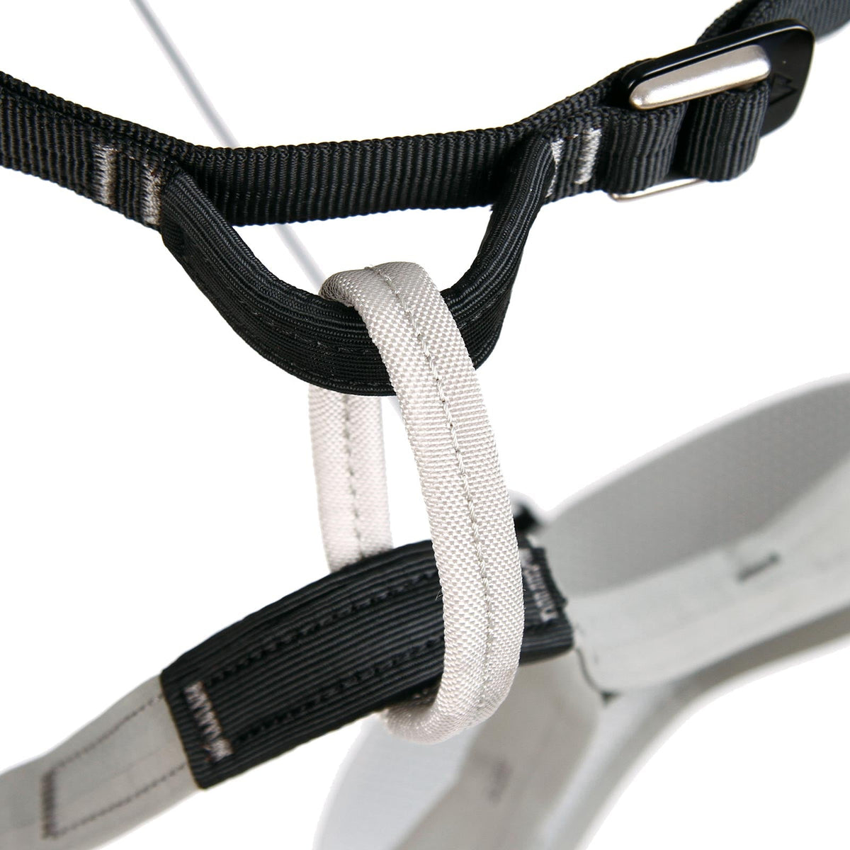 Blue Ice Halo Harness - belay loop detail
