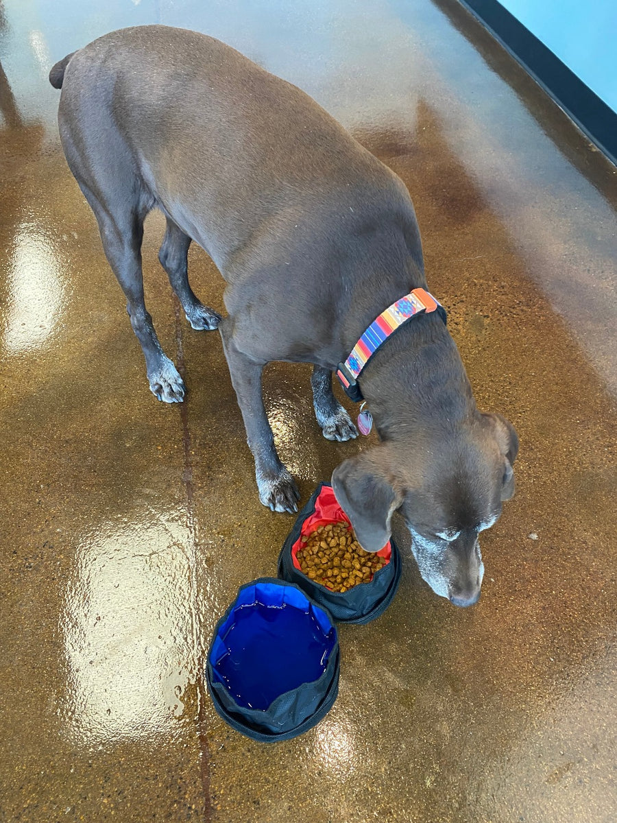 Fido Pro Double Bubble Dog Bowl - unfolded