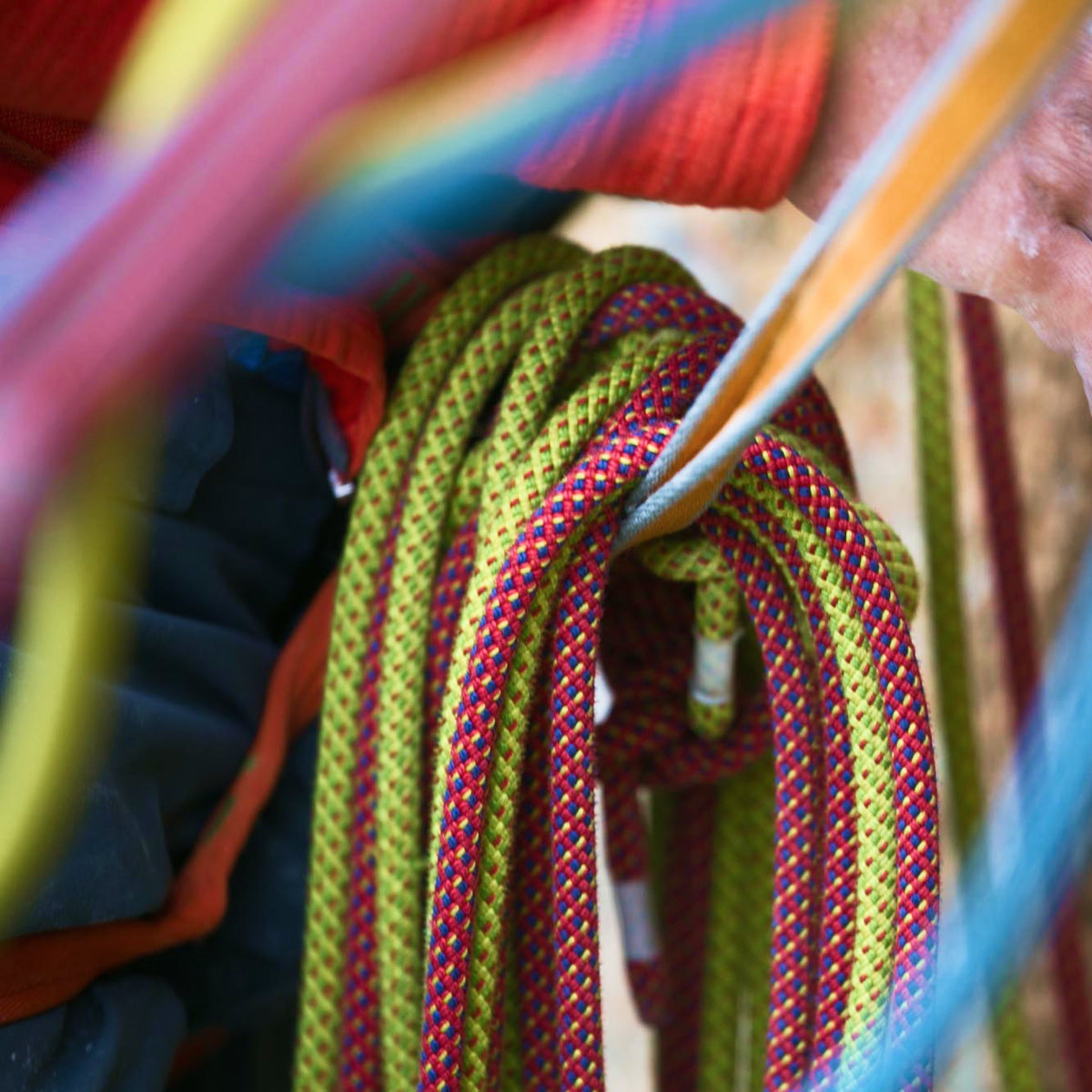 Tendon Alpine 7.9mm Half/Twin Rope - red