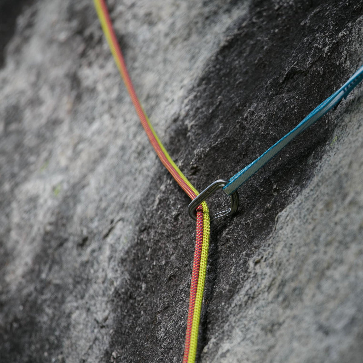 Tendon Alpine 7.9mm Half/Twin Rope - yellow