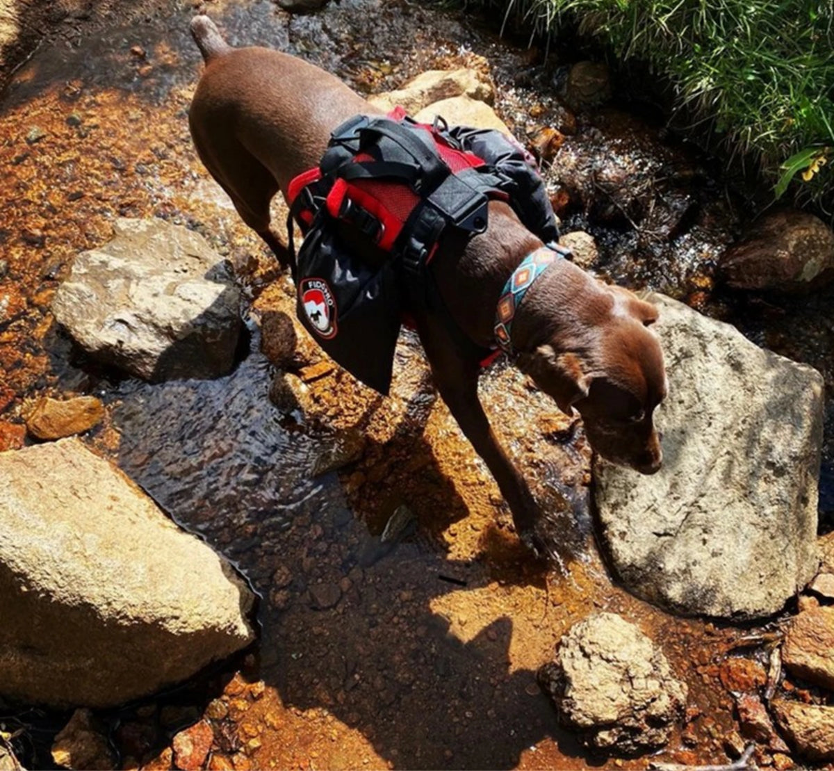 Fido Pro Panza Harness Bundle - Harness + 2 Saddle Dry Bags