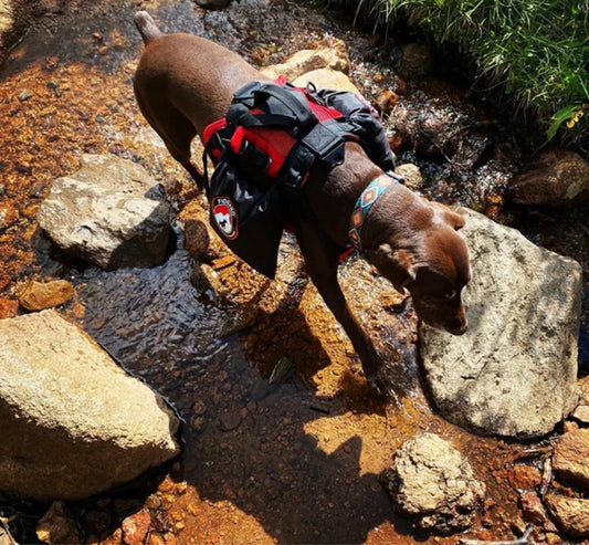 Fido Pro Panza Harness Bundle - Harness + 2 Saddle Dry Bags