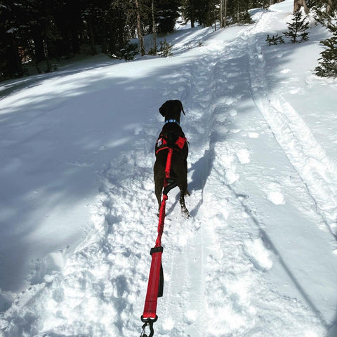 Fido Pro Remi Runner Leash - detail