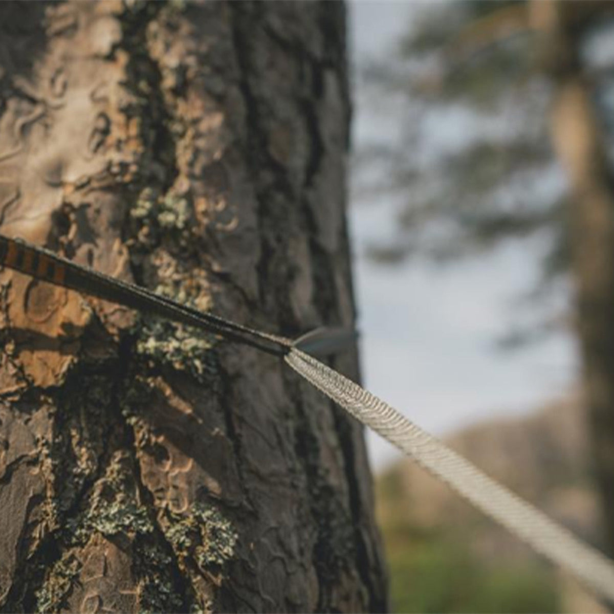 Robens Trace Hammock UL