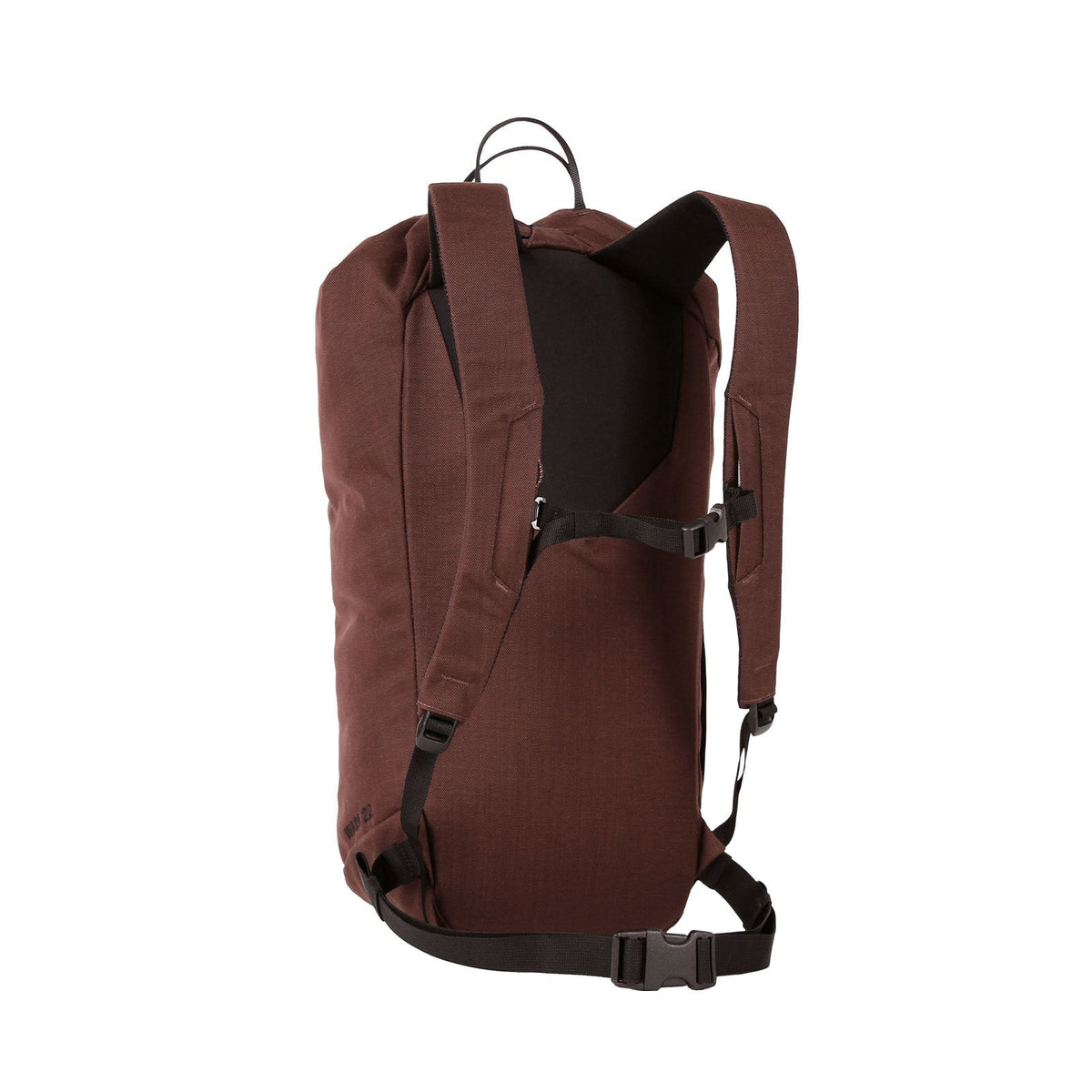 Blue Ice Wadi 22L Pack - back panel
