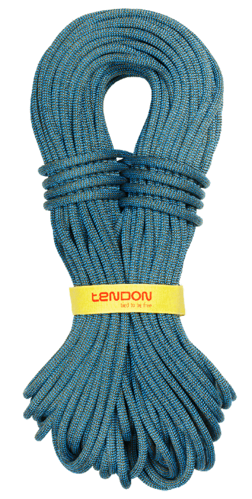 Tendon Master 8.5 Half/Twin Rope (Complete Shield/Dry Treated)