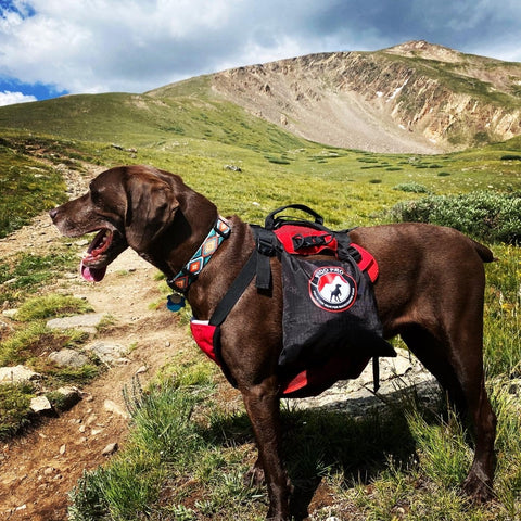 Fido Pro Saddle Dry Bag - in use